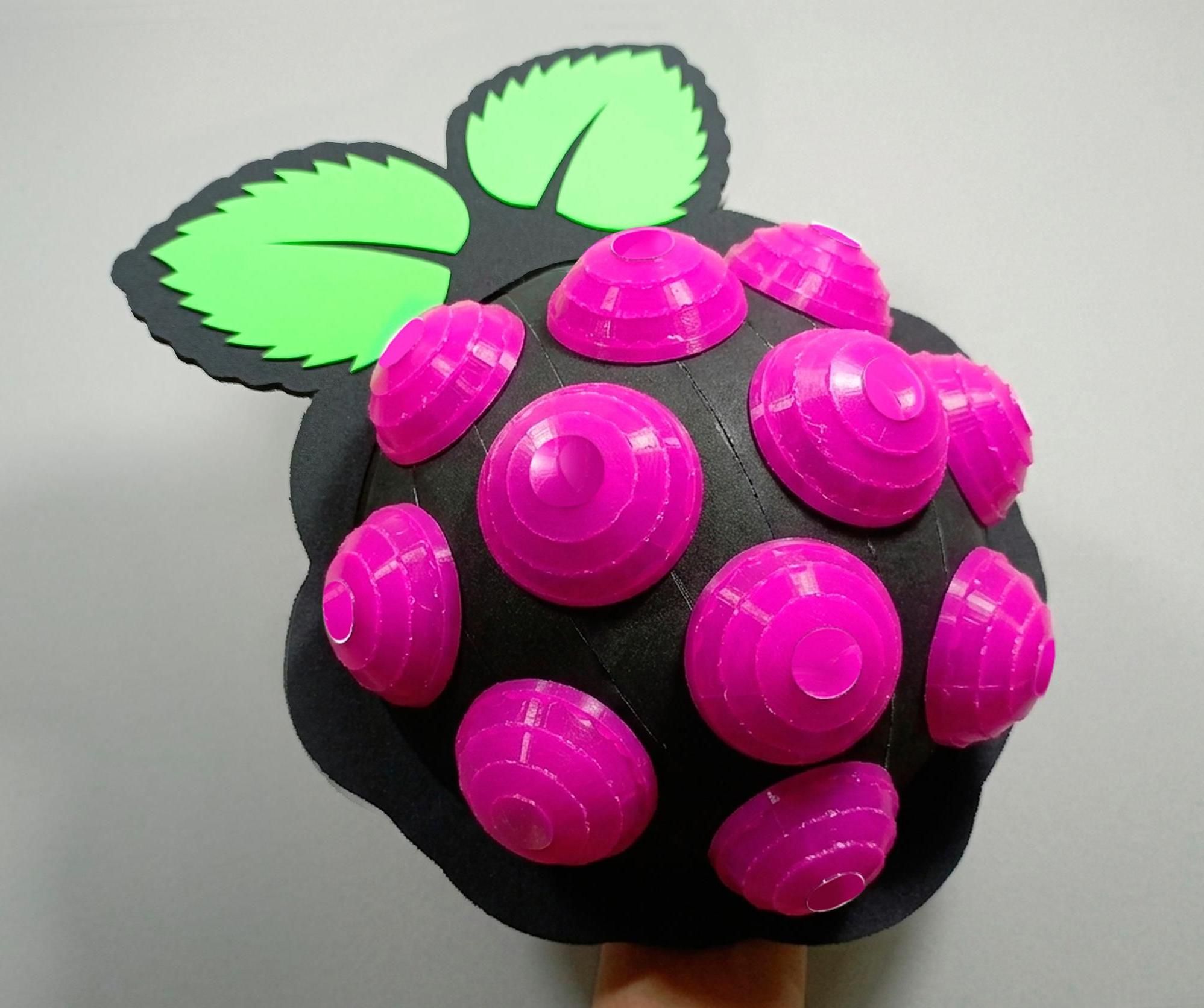 Raspberry Pi Hat/Helmet