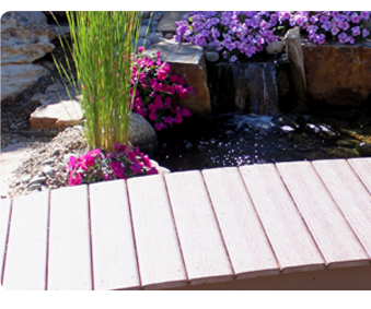 Advice on Fishpond Add-on and Also Layout of Your Pool