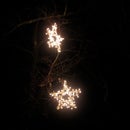 Outdoor hanging tree stars.