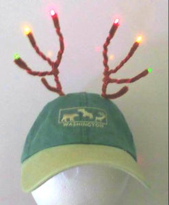LED Antlers