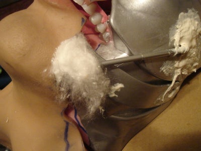Building Up the Skin