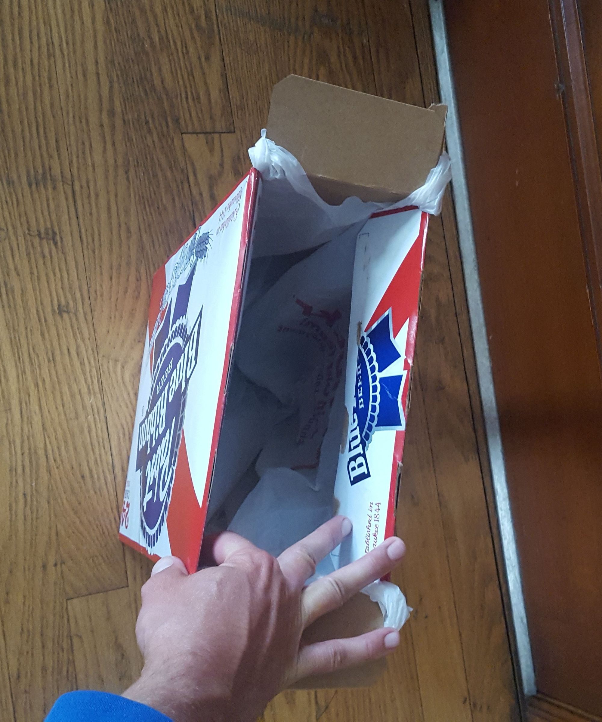Perfect Disposable Trash Can!