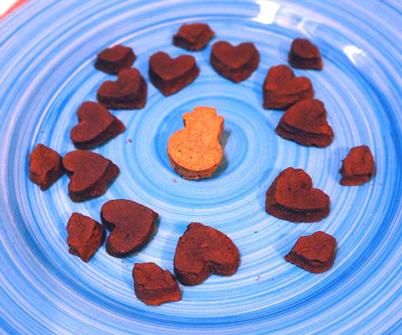 Healthy Treats for Your Dog or Cat and You May Have the Leftovers