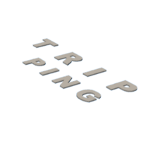 download {{ file.name }}