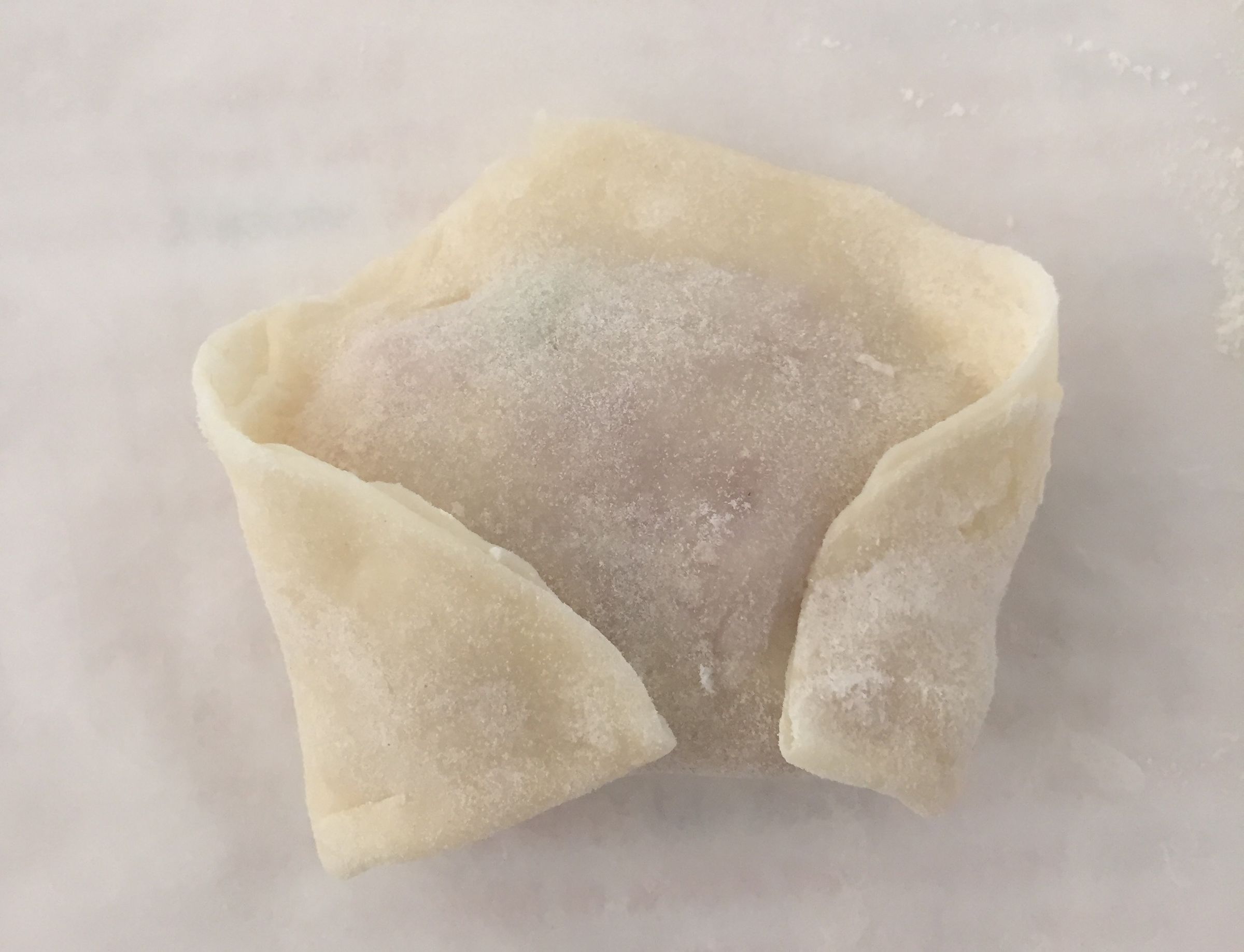 Crispy Pork Dumplings (From Scratch!) 14 Steps (with Pictures