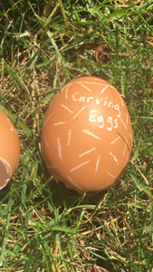 Carved Eggs
