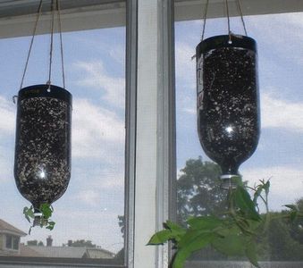 Recycle Your Soda Pop Into Hanging Planter