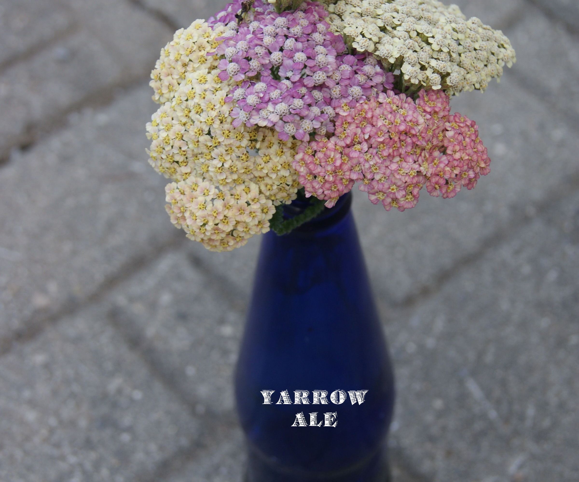 Yarrow Ale