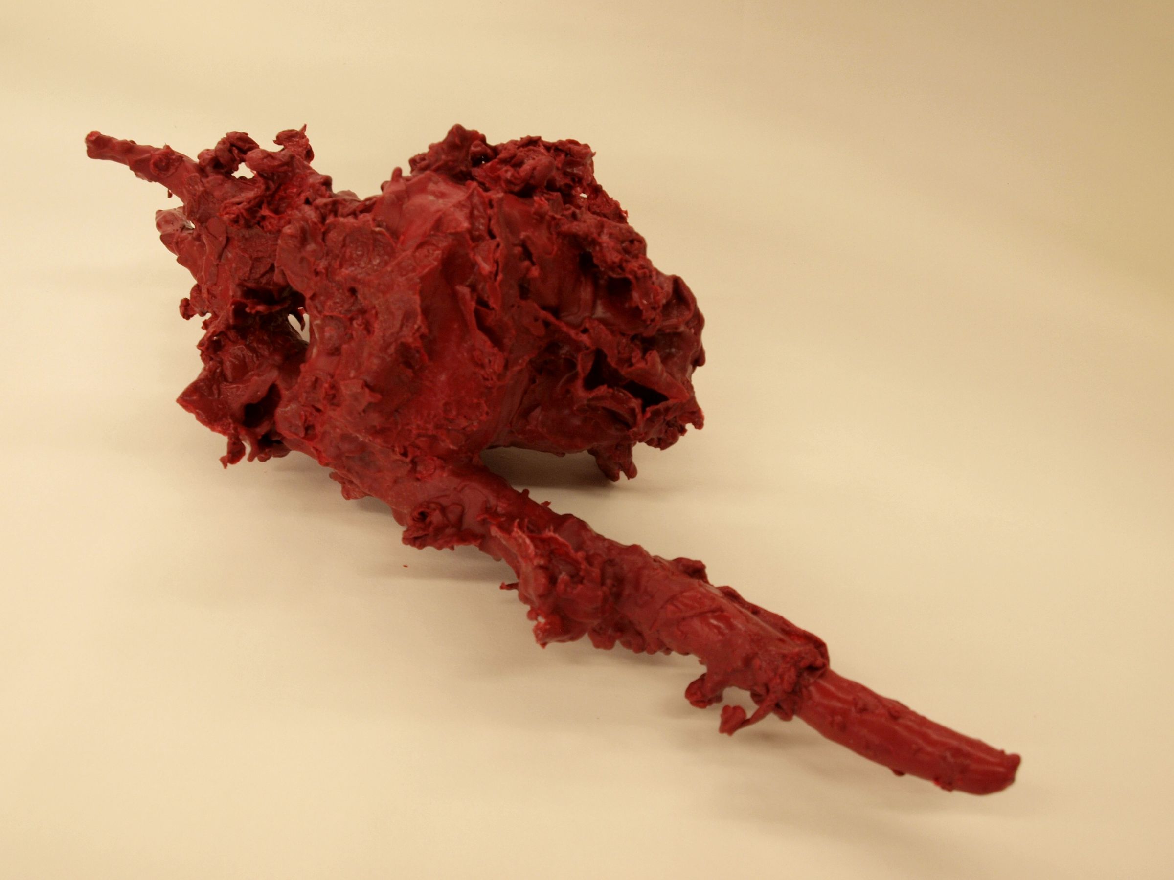 Physical Reconfiguration of Digital Anatomy