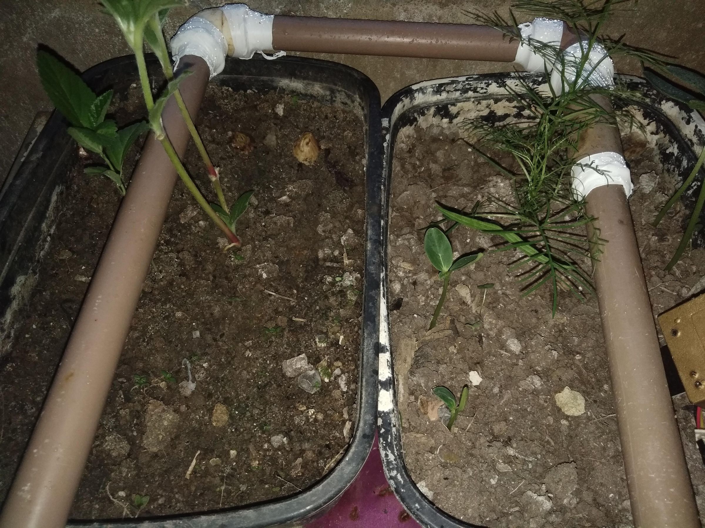 Irrigação Automática Para Horta