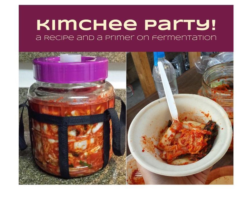 Kimchee Party! a Recipe and a Primer on Fermentation