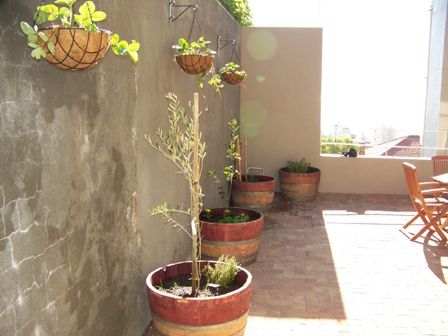 Wine Barrel Organic Food Garden