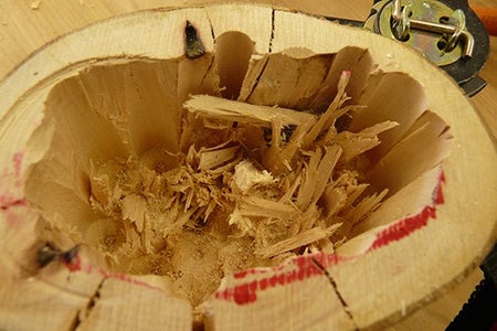 Removing Wood Debris From the Bottom Base