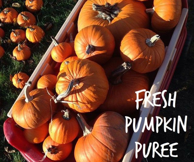 Fresh Pumpkin Puree