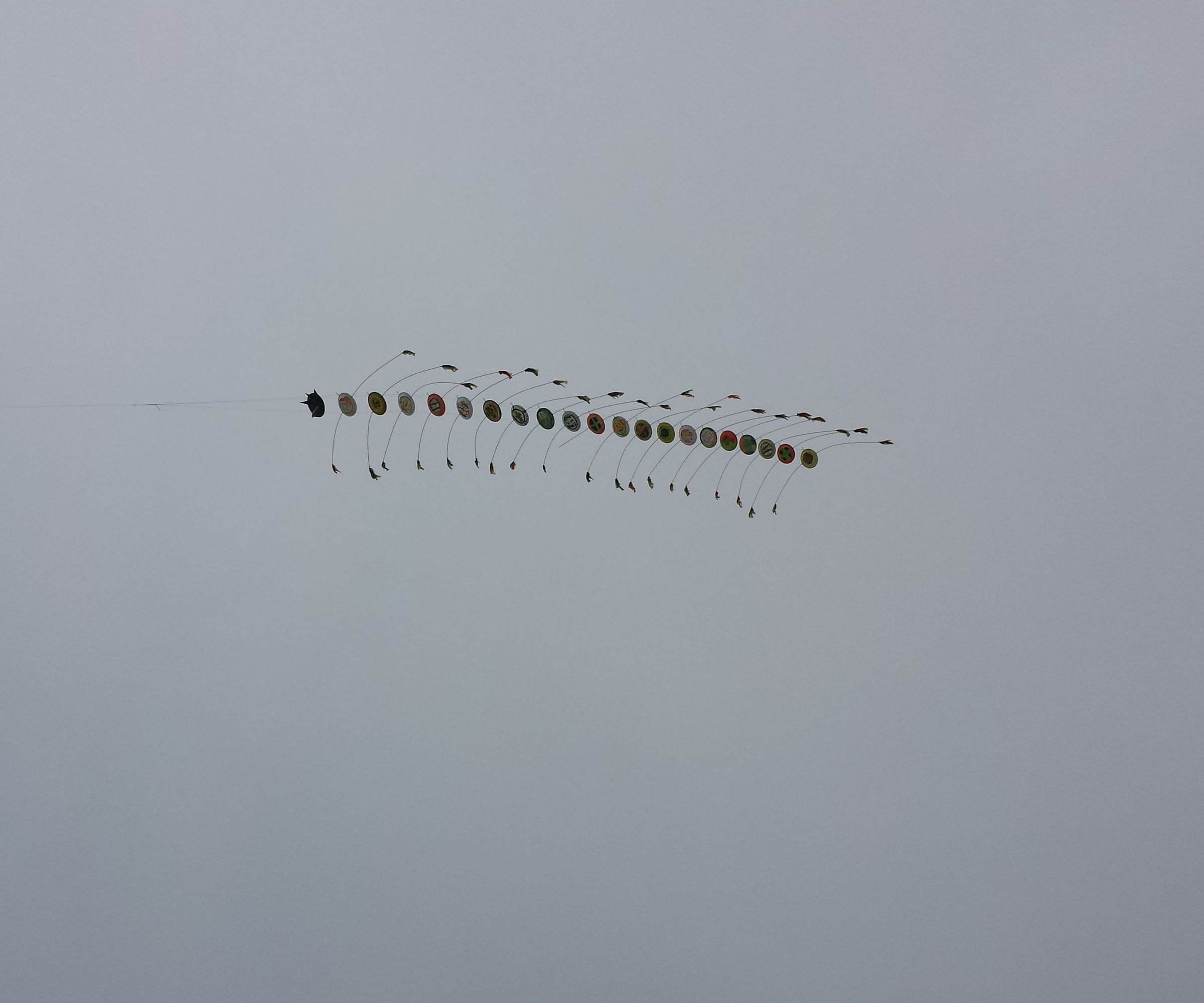 How to Build a Chinese Dragon Caterpiller Kite