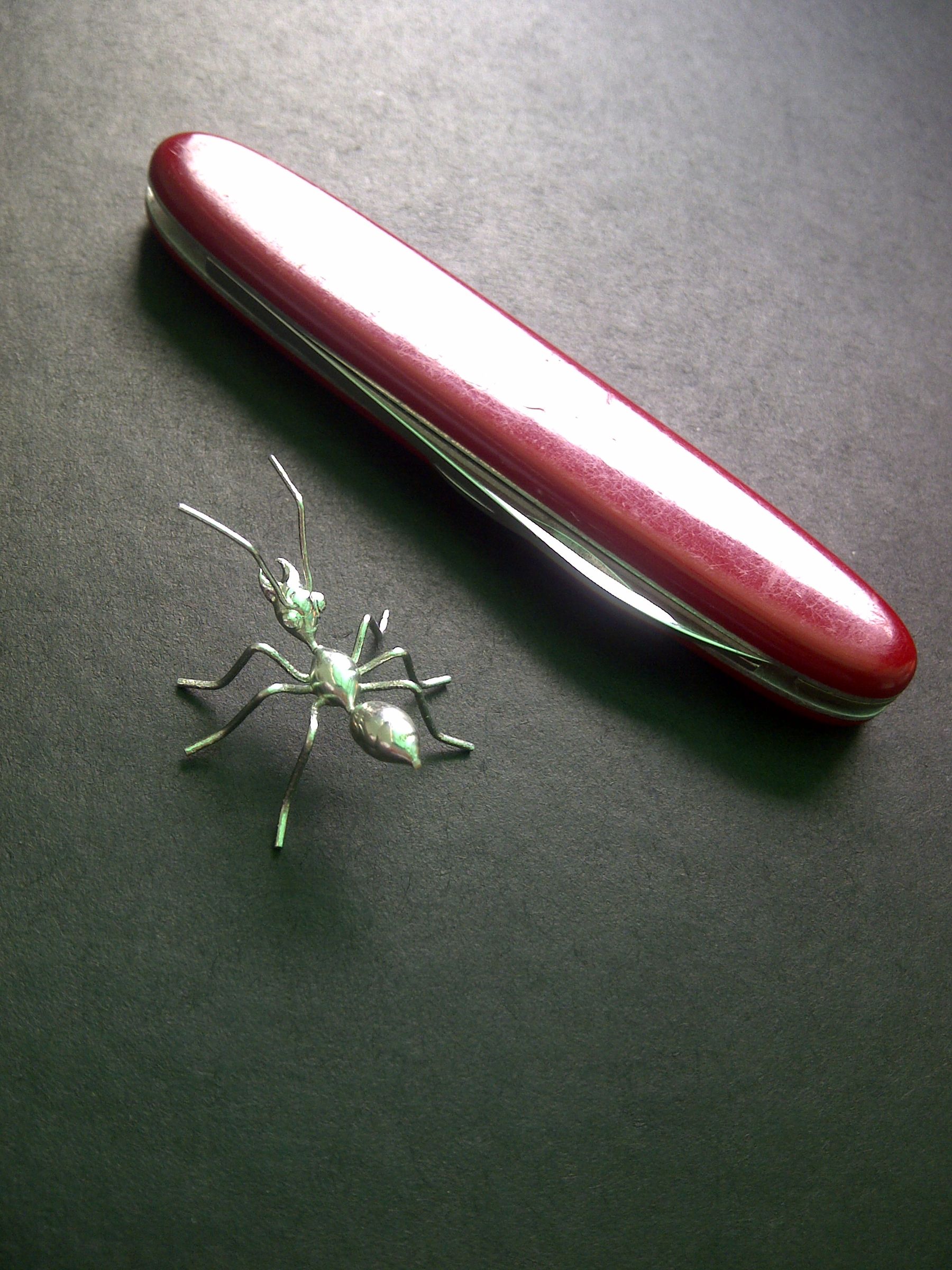 The Ant, Little Is More.