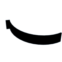 download {{ file.name }}