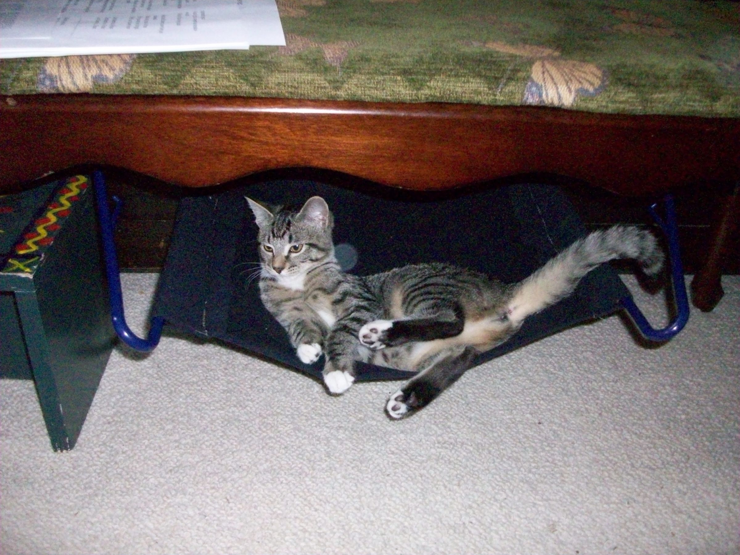 Simple Cat Hammock