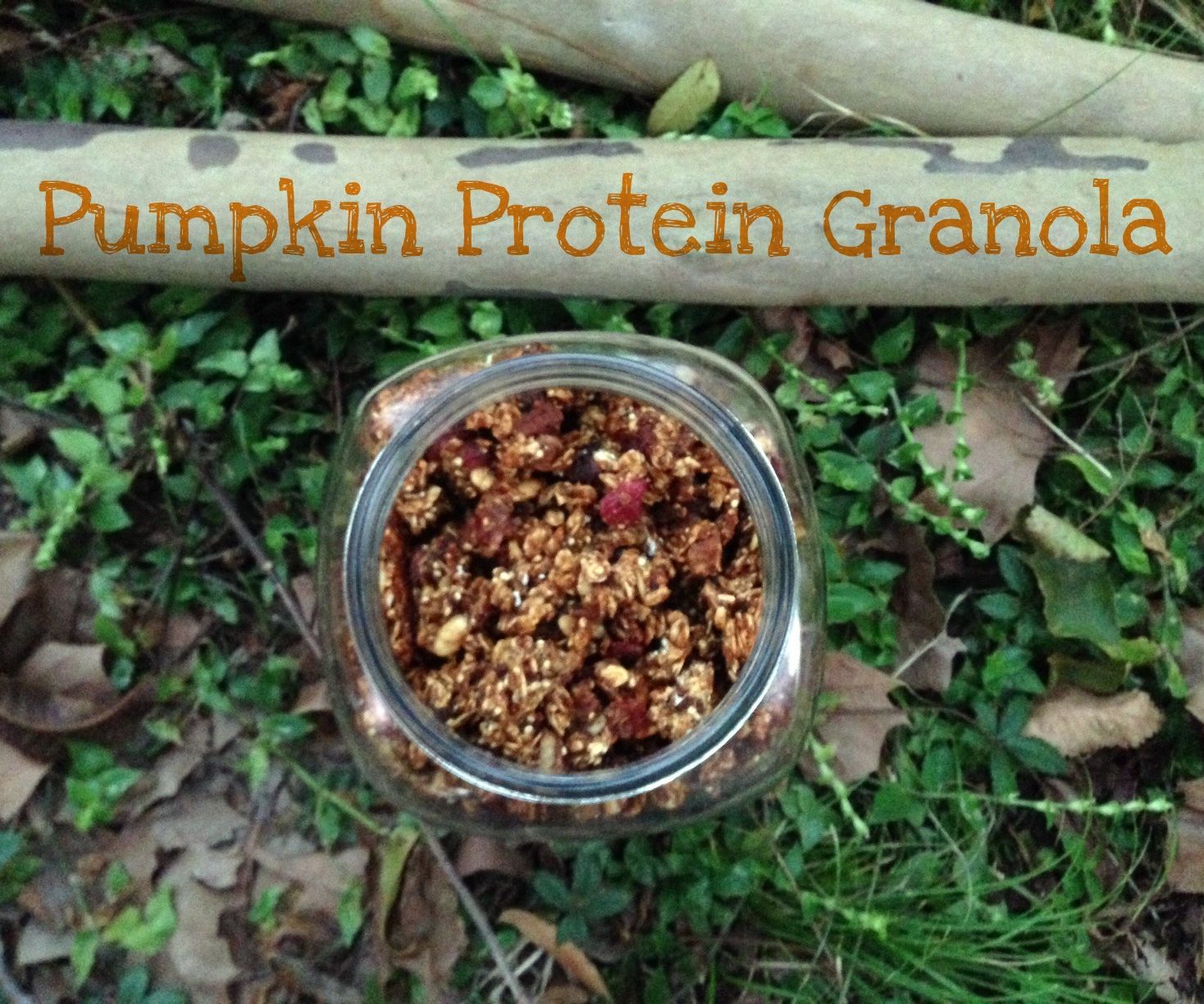 Pumpkin Protein Granola