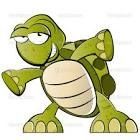 How to Use Python's Turtle Function