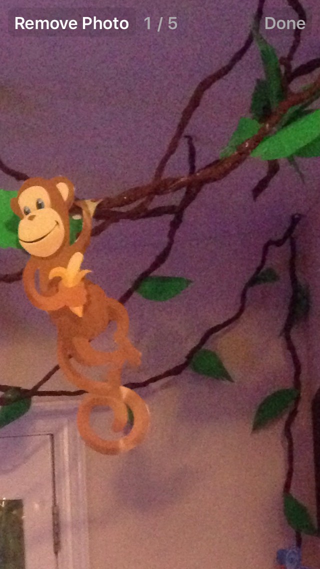 Cheap Vines for Jungle Themed Parties