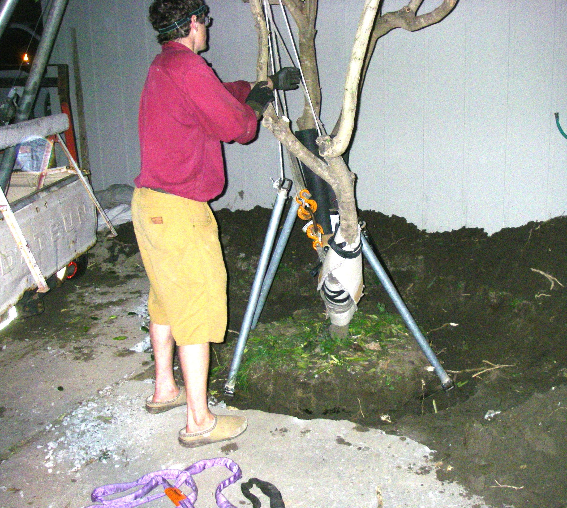 How to Move a Tree, Vehicle and A-frame Method : 17 Steps (with ...