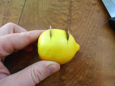5 Great Lemon Tricks : 5 Steps (with Pictures) - Instructables