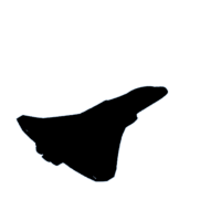 download {{ file.name }}