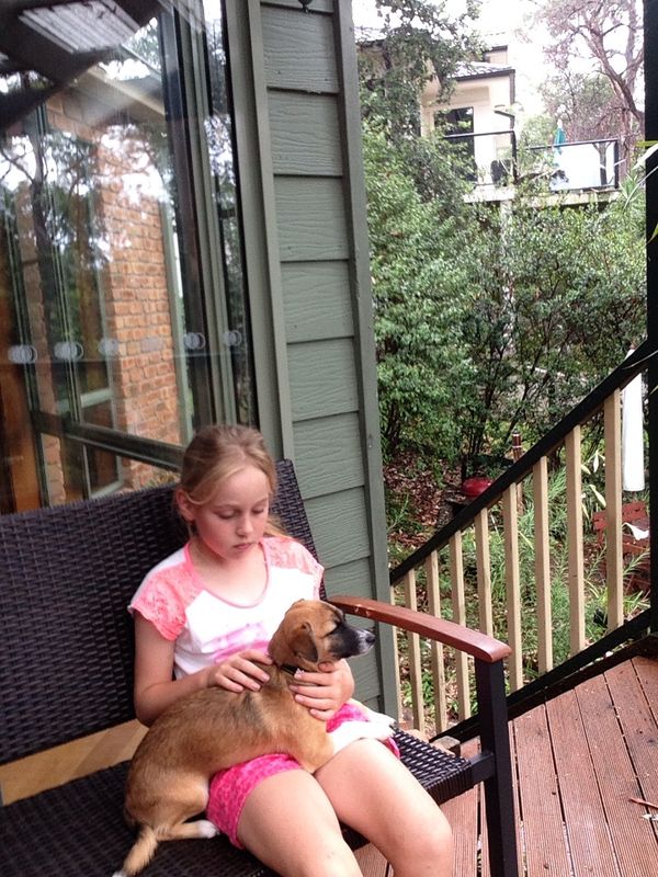 How to Play With a Dog