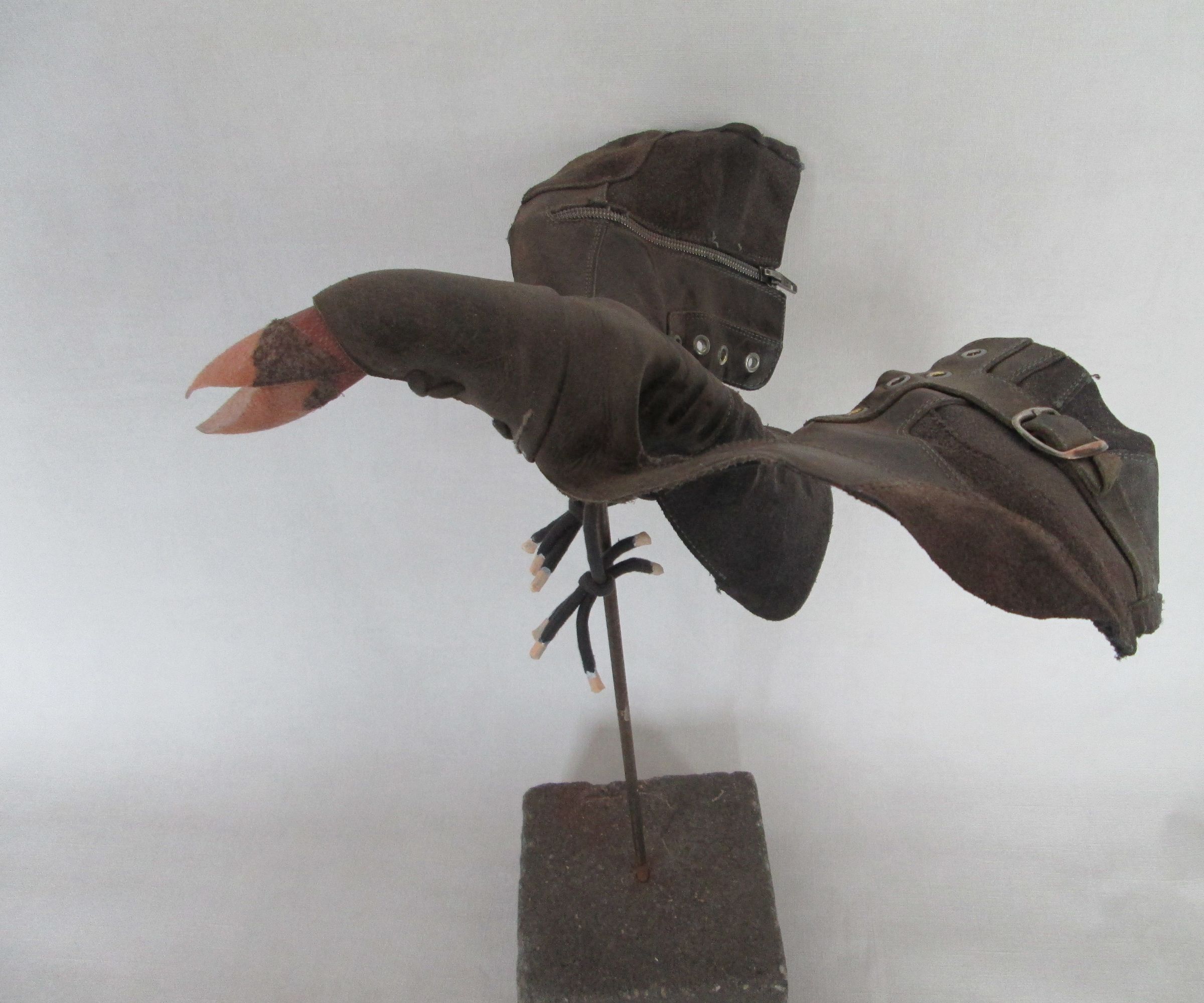Schubert the Shoe Bird