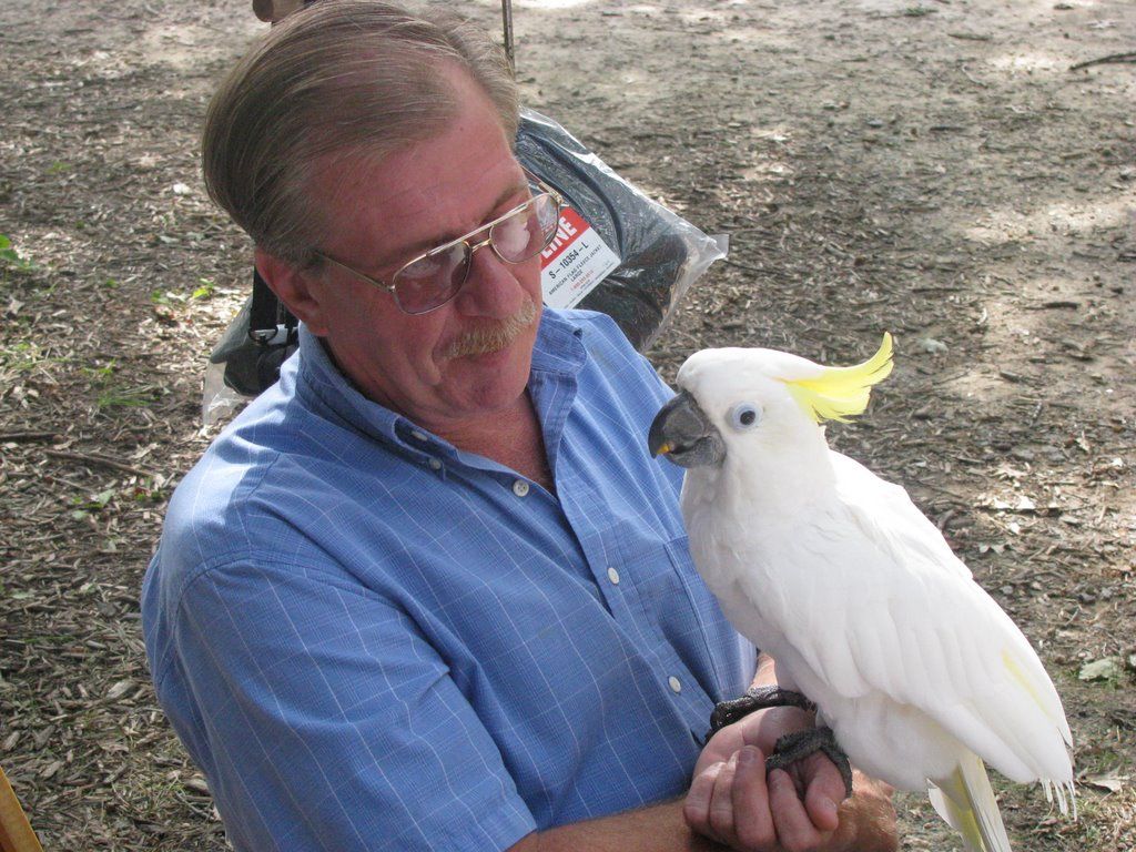 author