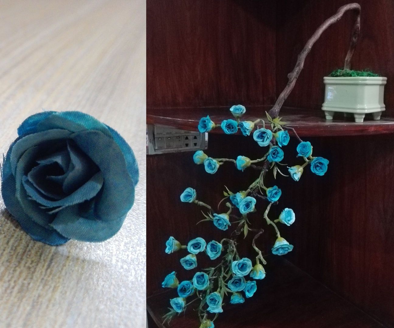 How to Make DIY Flower Bonsai