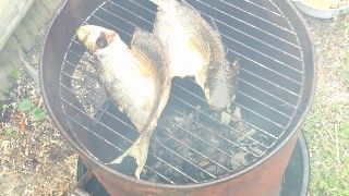 How to Clean and Smoke a Fish With Hot Smoke Method