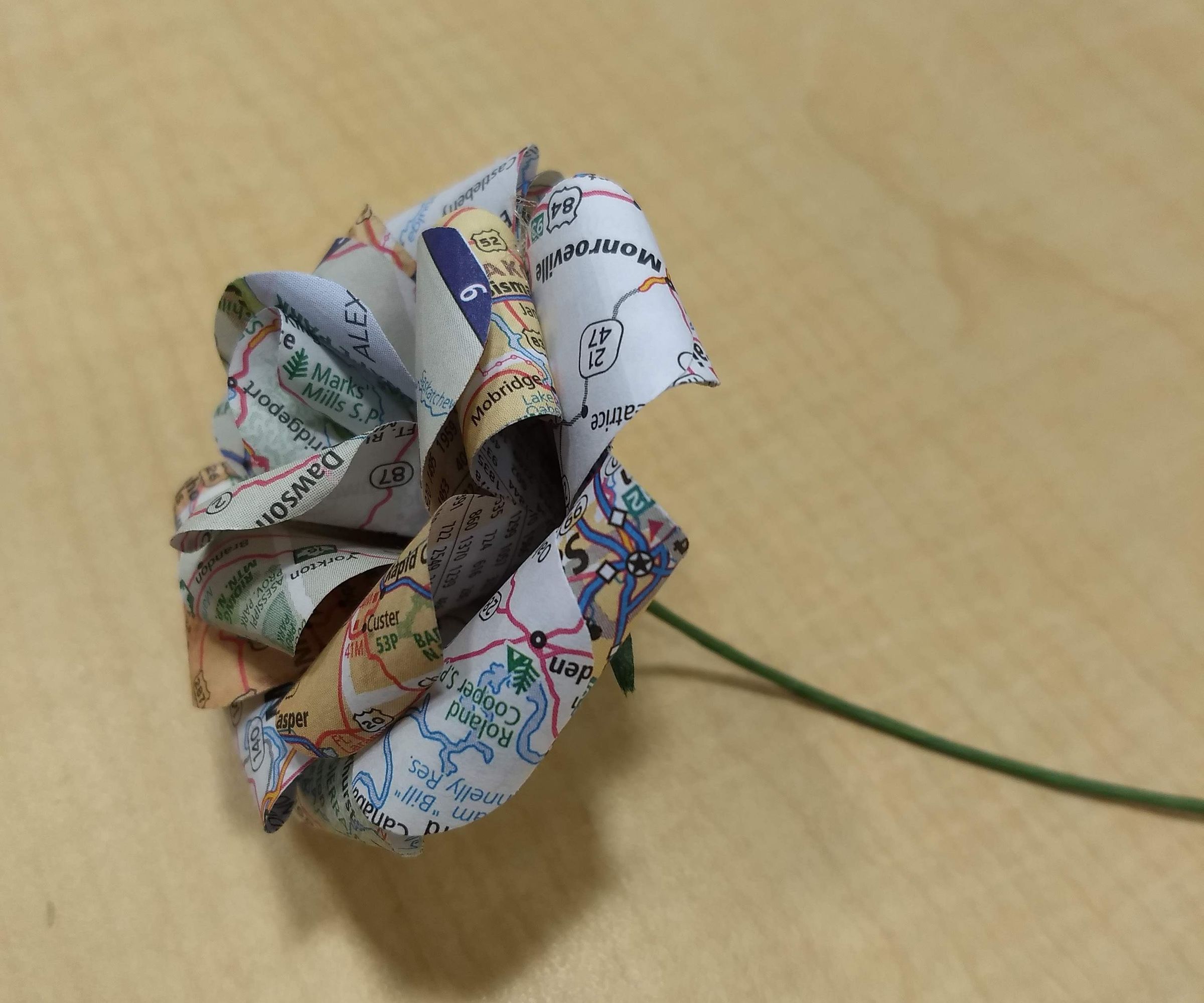 Wanderlust Paper Roses