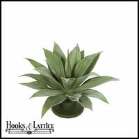 Make Your Room Warm and Homey Using Artificial Cactus Plants