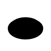 download {{ file.name }}