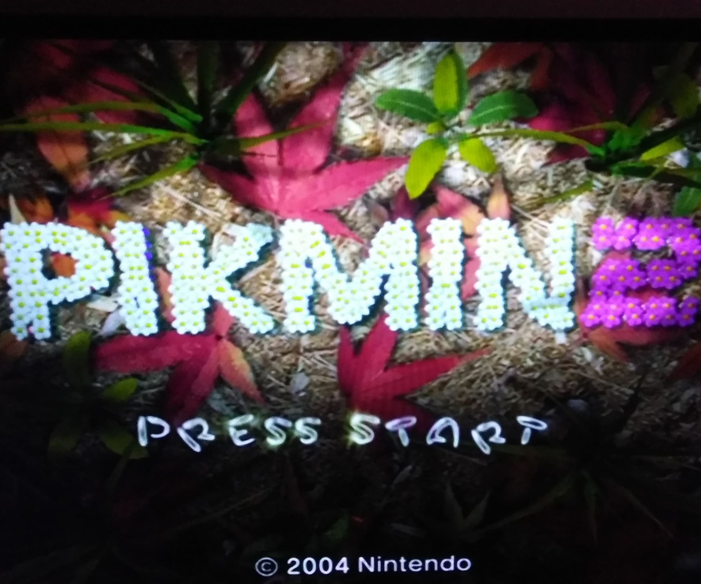 How to Unlock Challenge Mode in Pikmin 2