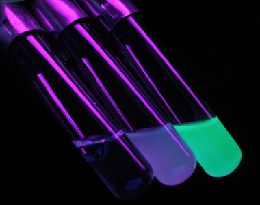 Creating a Bacterial Culture With Proper Sterile Technique