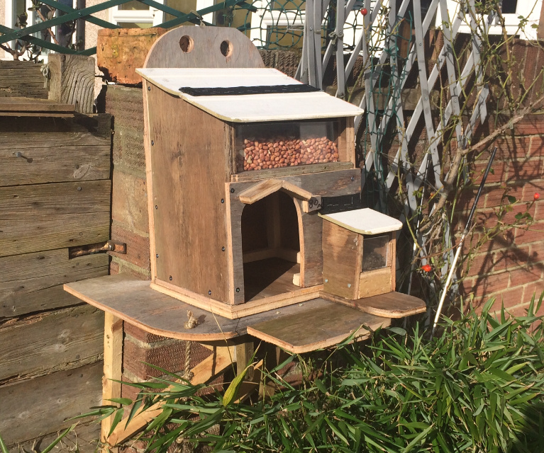 Wooden Squirrel Feeder: Cheap, Environmentally Friendly and Entertaining.