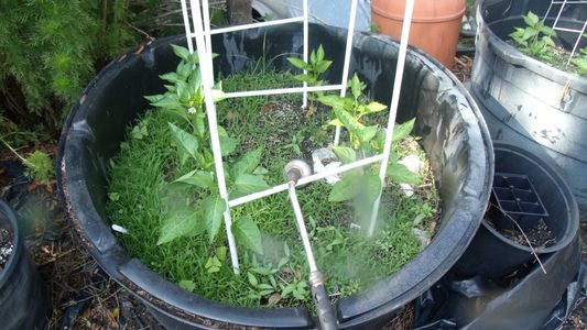 Fill and Plant