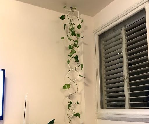 Laser Cut Climbing Plant Chain