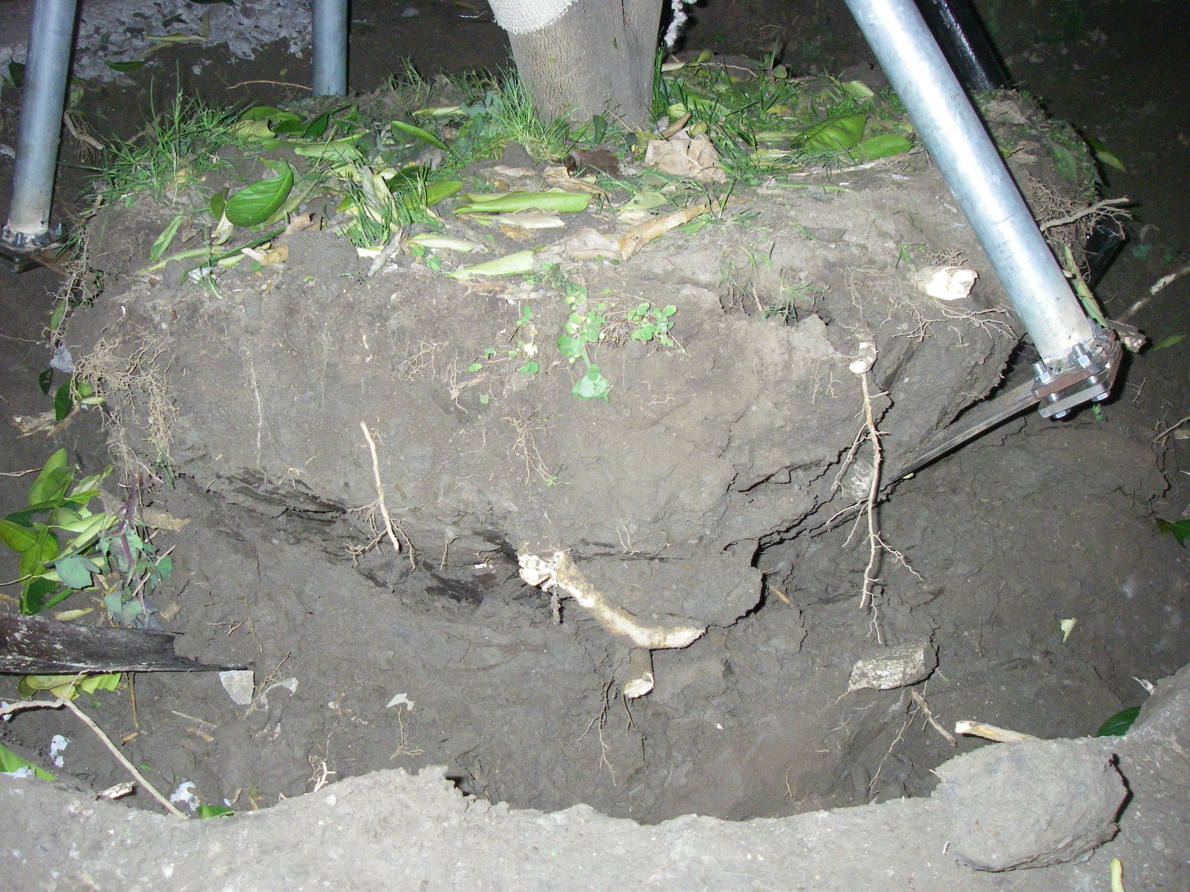 How to Move a Tree, Vehicle and A-frame Method : 17 Steps (with ...