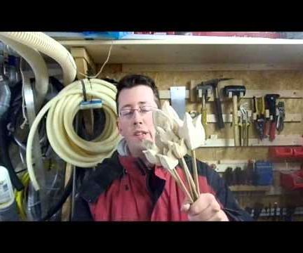 Bandsaw Tulips - Follow Up