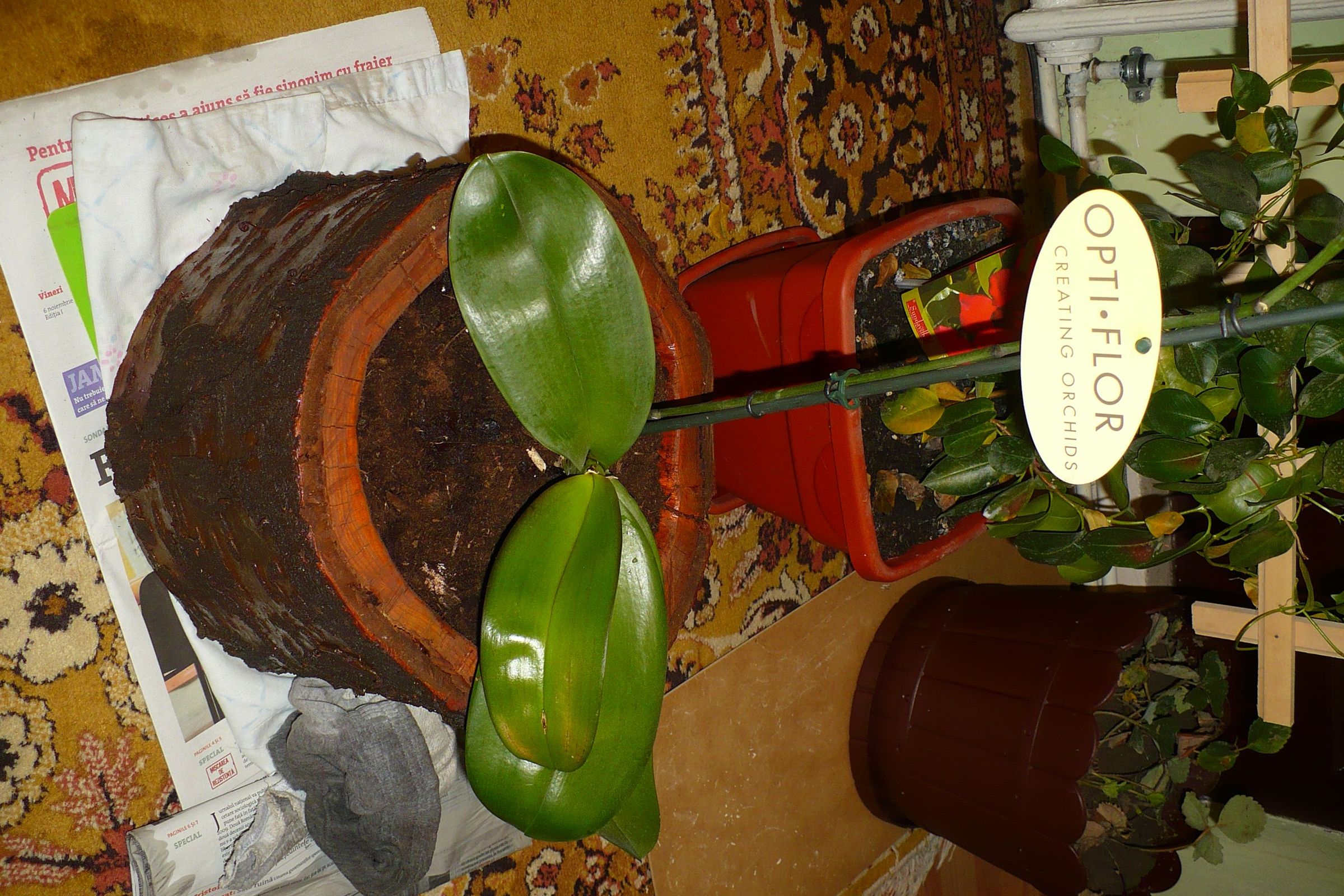 How to Make a Wooden Pot