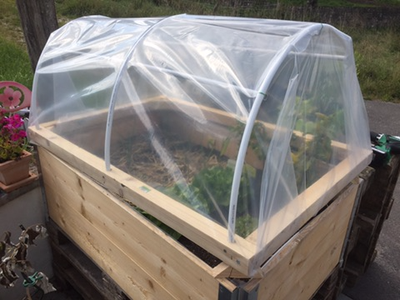 Small Greenhouse for Plantations on Euro Pallets