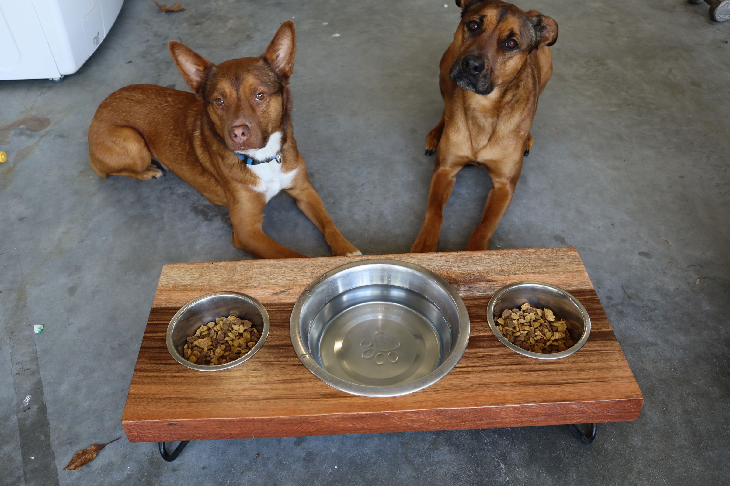 How to Build a Dog Food Bowl Stand 6 Steps (with Pictures