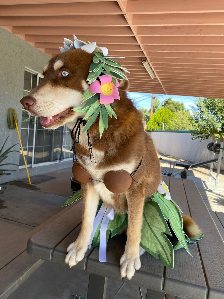 Hawaiian Hula Costume 8 Steps