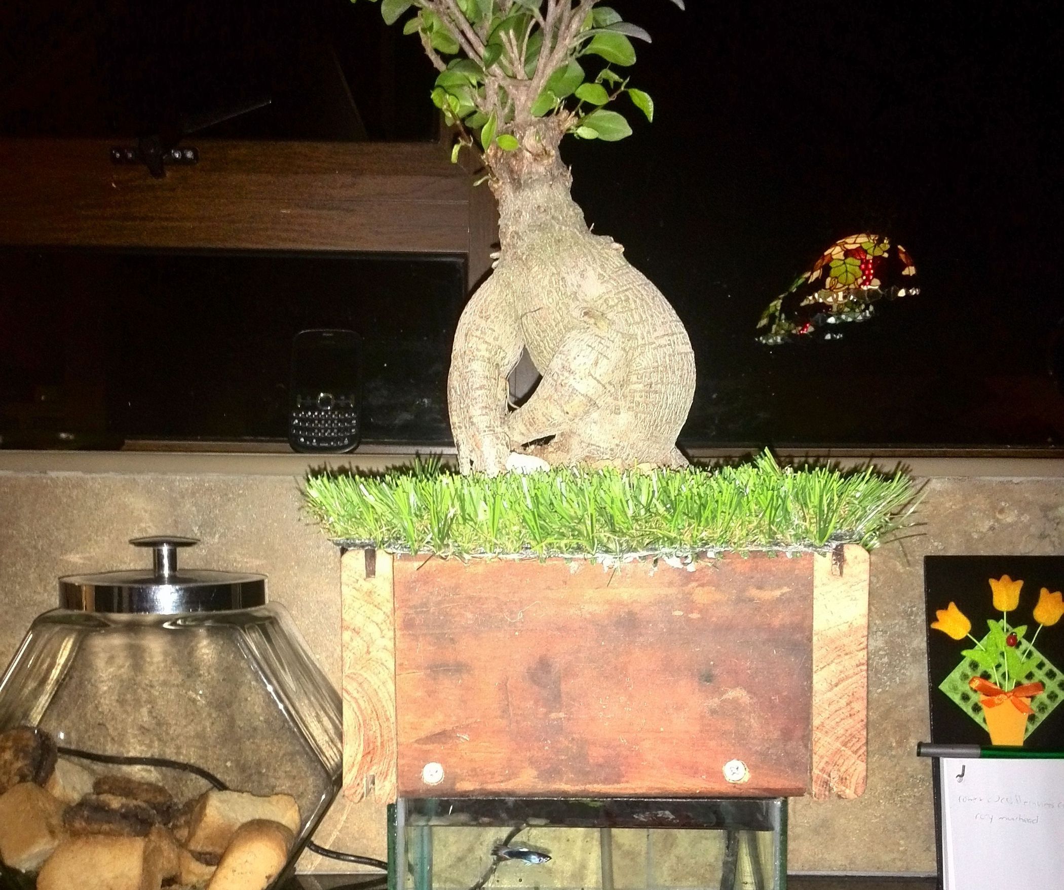 Bonsai Aquaponic 9 Steps Instructables