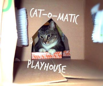 Cat-O-Matic Sensory Playhouse