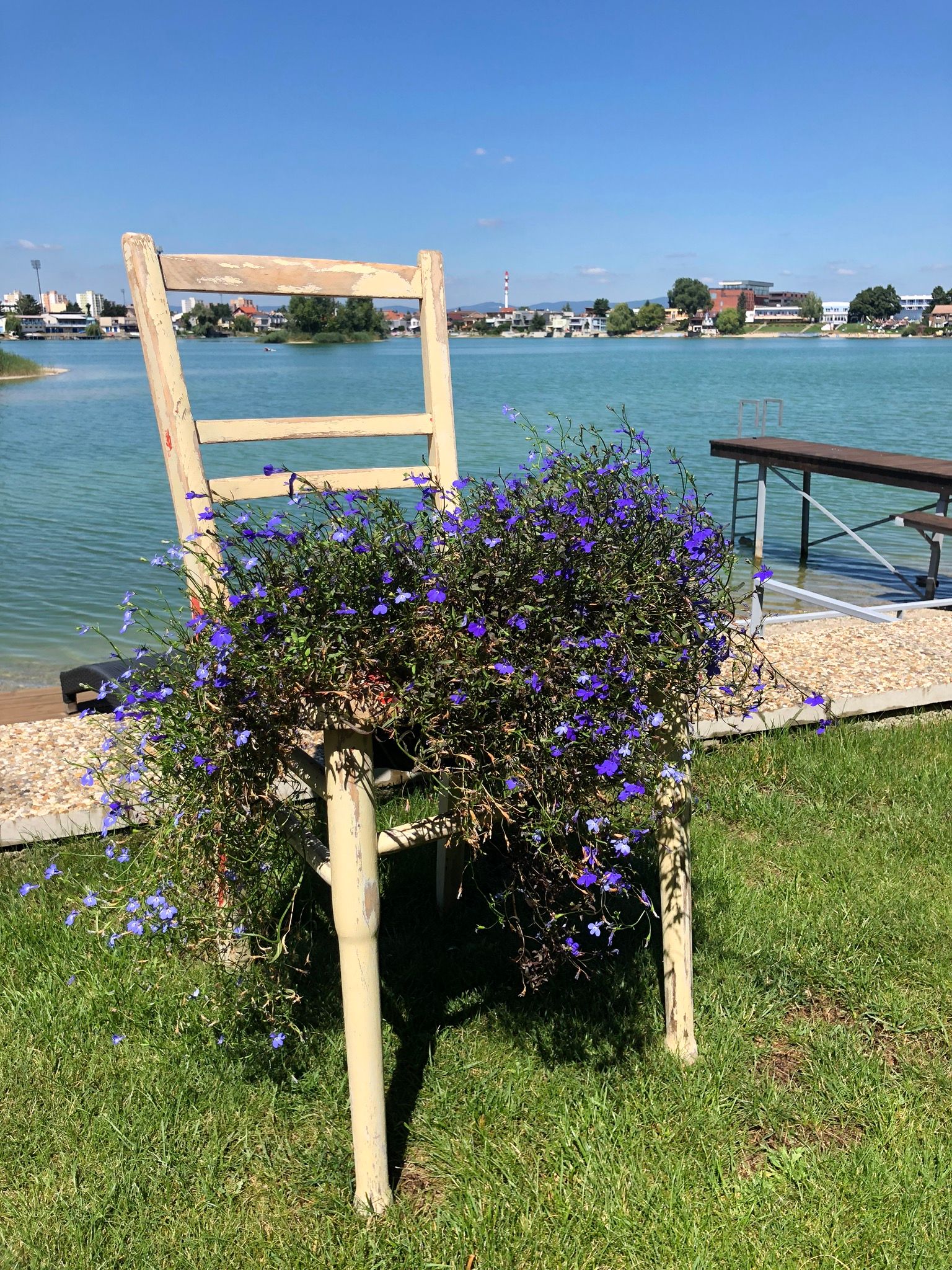 Garden Chair Flowers 3 Steps Instructables